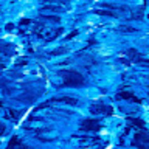 Meet your Posher, George